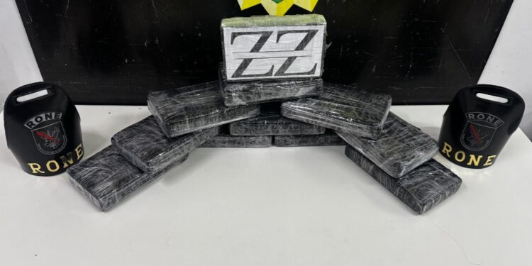 RONE apreende mais de 12 kg de cocaína ao atender ocorrência de briga generalizada na CIC