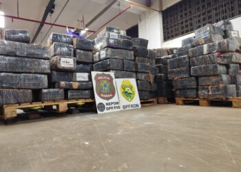 BPFRON apreende quase três toneladas de maconha em ação conjunta com NEPOM