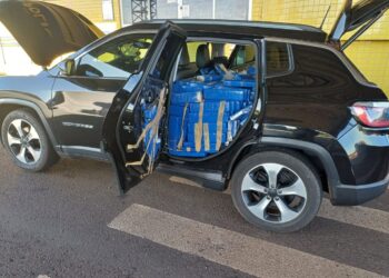 PRF apreende quase uma tonelada de maconha na BR-376