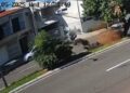 Jovem em moto decola após bater em árvore e ainda colide em poste