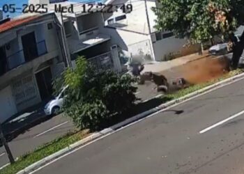 Jovem em moto decola após bater em árvore e ainda colide em poste