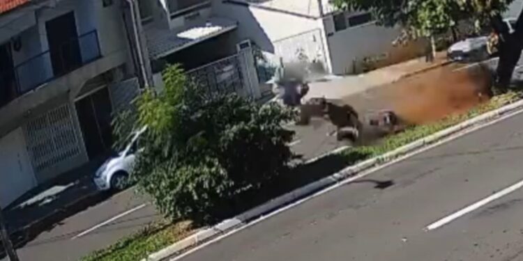 Jovem em moto decola após bater em árvore e ainda colide em poste