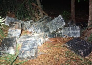 BPFRON e NEPOM apreendem quase 250 kg de maconha em porto clandestino em Foz do Iguaçu