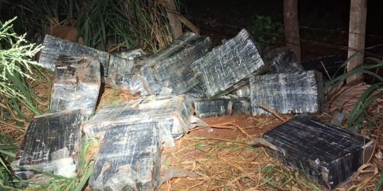 BPFRON e NEPOM apreendem quase 250 kg de maconha em porto clandestino em Foz do Iguaçu