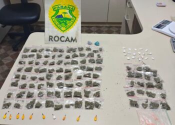 ROCAM apreende drogas na Trajano Reis e menor é apreendido