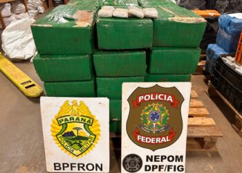 BPFRON e NEPOM apreendem mais de meia tonelada de maconha