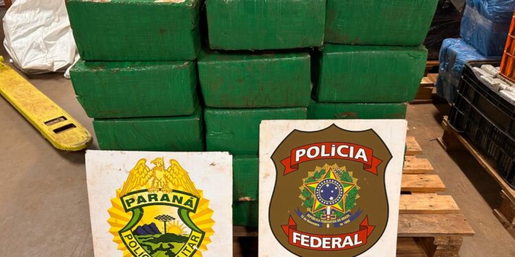 BPFRON e NEPOM apreendem mais de meia tonelada de maconha