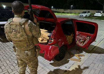 PRF apreende mais de 600 quilos de maconha na BR-476, em Araucária