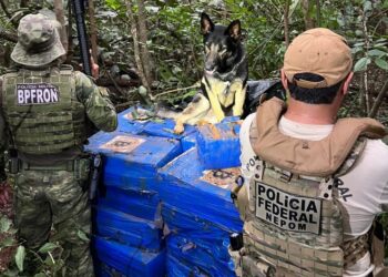 BPFRON e Polícia Federal apreendem mais de 1 tonelada de maconha com auxílio de cão farejador