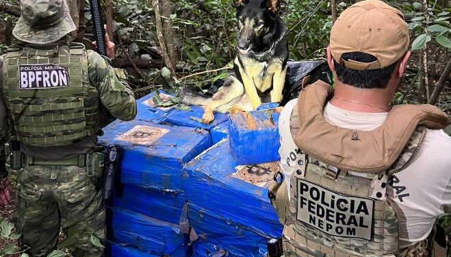 BPFRON e Polícia Federal apreendem mais de 1 tonelada de maconha com auxílio de cão farejador