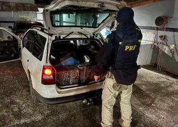 PRF apreende mais de 240 quilos de maconha