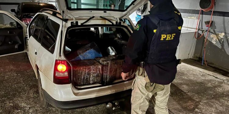 PRF apreende mais de 240 quilos de maconha