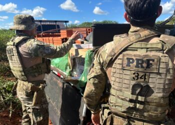 PRF encontra 50 mil maços de cigarros escondidos embaixo de carga de tijolos no Paraná