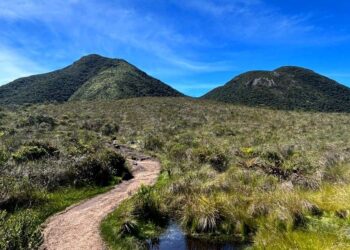IAT promove neste domingo mutirão voluntário de limpeza do Parque Estadual Pico Paraná