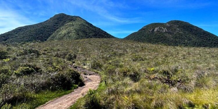 IAT promove neste domingo mutirão voluntário de limpeza do Parque Estadual Pico Paraná
