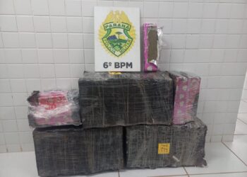 PMPR apreende mais de 100 quilos de maconha