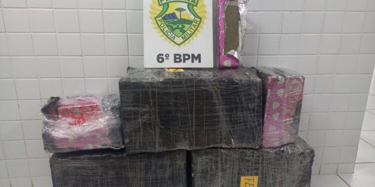 PMPR apreende mais de 100 quilos de maconha