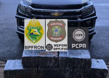PMPR apreende mais de 100 kg de maconha em Foz do Iguaçu
