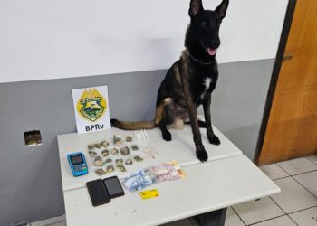 PMPR apreende entorpecentes e prende uma mulher por tráfico de drogas