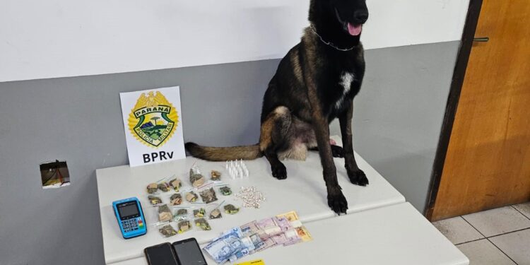 PMPR apreende entorpecentes e prende uma mulher por tráfico de drogas