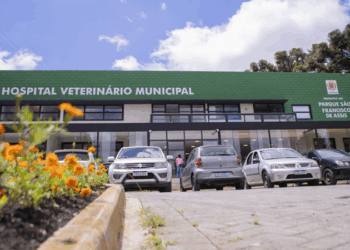 Hospital Veterinário da Prefeitura de Curitiba fornece gratuitamente medicação para esporotricose