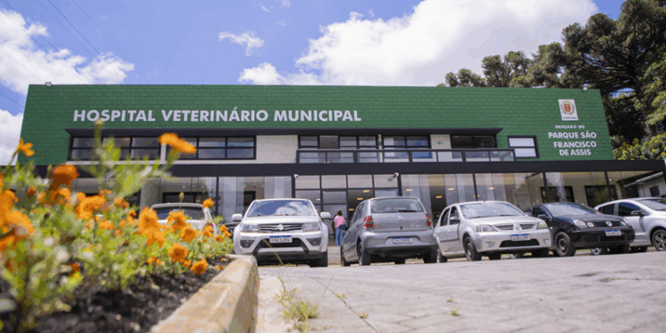 Hospital Veterinário da Prefeitura de Curitiba fornece gratuitamente medicação para esporotricose