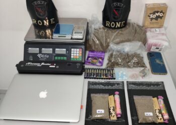 RONE descobre delivery de drogas e realiza apreensão na CIC e em São José dos Pinhais