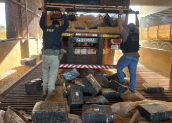 Operação conjunta entre PRF, PF e Denarc apreende quase 4 toneladas de maconha na BR-277