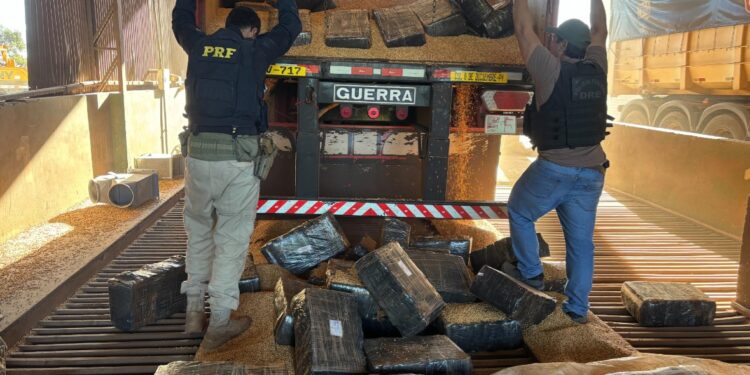 Operação conjunta entre PRF, PF e Denarc apreende quase 4 toneladas de maconha na BR-277