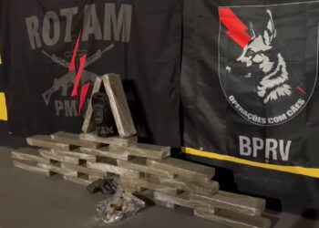 Taxista de Curitiba é preso com tabletes de maconha e arma