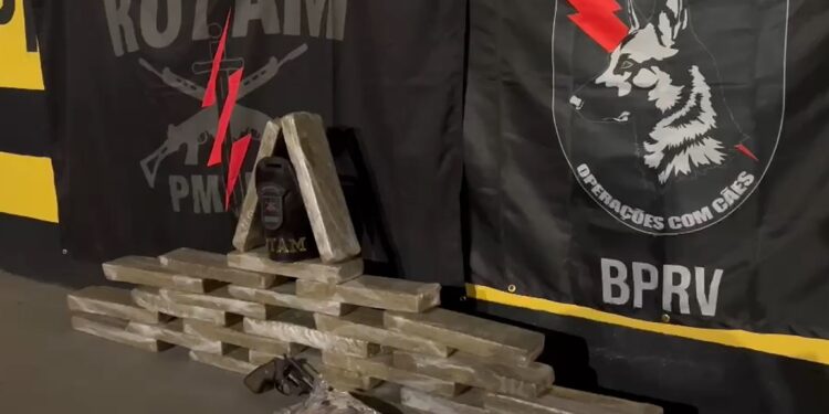 Taxista de Curitiba é preso com tabletes de maconha e arma