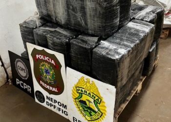 BPFRON e Polícia Federal apreendem mais de 400 kg de maconha em porto clandestino