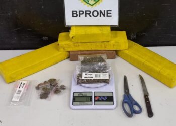 RONE apreende tabletes de maconha e indivíduo é detido no Cajuru