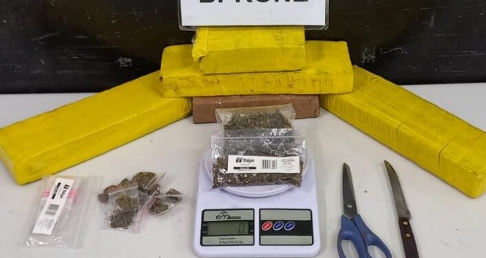 RONE apreende tabletes de maconha e indivíduo é detido no Cajuru