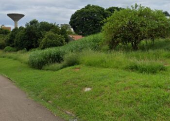 Homem é encontrado sem vida e brutalmente espancado em Curitiba