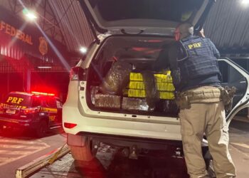 PRF apreende mais de meia tonelada de maconha em veículo roubado
