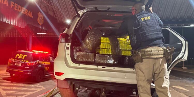 PRF apreende mais de meia tonelada de maconha em veículo roubado