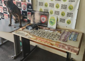 PM e GM apreendem drogas e prendem dois em operação conjunta