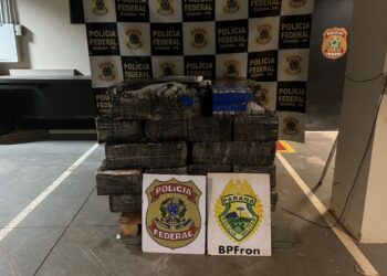 BPFRON apreende quase 900 quilos de maconha em carreta