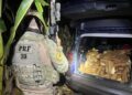 PRF apreende 600 kg de maconha após acompanhamento tático na BR-277