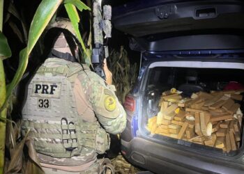 PRF apreende 600 kg de maconha após acompanhamento tático na BR-277