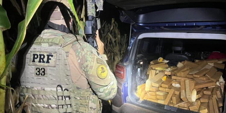 PRF apreende 600 kg de maconha após acompanhamento tático na BR-277