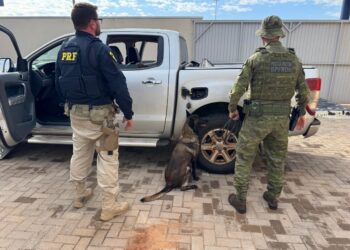 PRF e BPFron apreendem quase 50 quilos de pasta base de cocaína