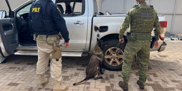 PRF e BPFron apreendem quase 50 quilos de pasta base de cocaína