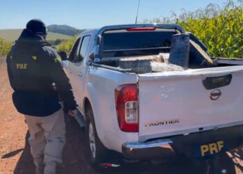 PRF apreende quase uma tonelada de maconha em caminhonete roubada no Paraná