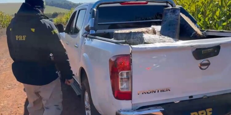 PRF apreende quase uma tonelada de maconha em caminhonete roubada no Paraná