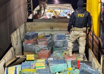 PRF apreende mais de 17 toneladas de maconha e realiza maior apreensão do ano no Paraná