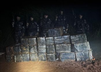 RONE prende 8 e apreende quase uma tonelada de maconha