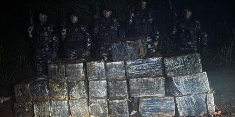 RONE prende 8 e apreende quase uma tonelada de maconha