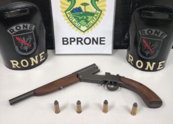 RONE apreende arma de fogo e munições em residência no Campo Comprido